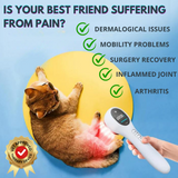 Pet Laser Therapy Device