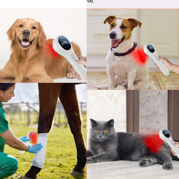 Pet Laser Therapy Device